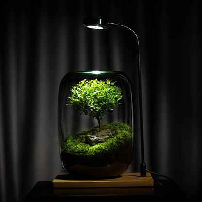 GreenZehn™ First Stillness