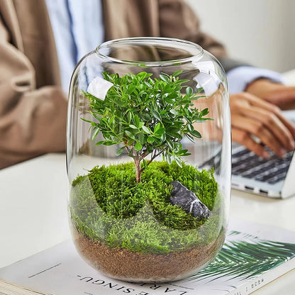 GreenZehn™ First Stillness