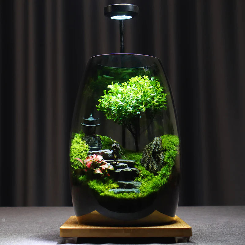 GreenZehn™ Forest Path