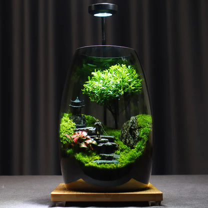 GreenZehn™ Forest Path