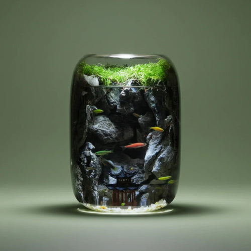 GreenZehn™ Hidden Valley