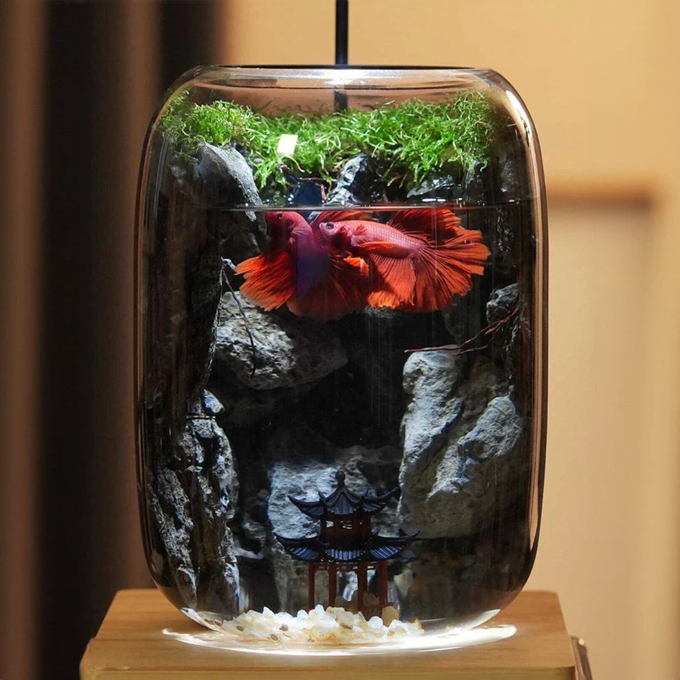 GreenZehn™ Hidden Valley