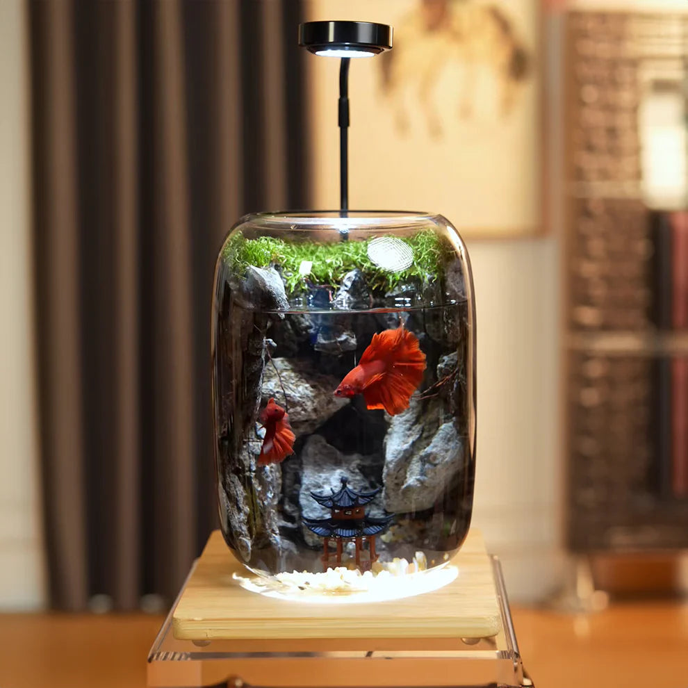 GreenZehn™ Hidden Valley