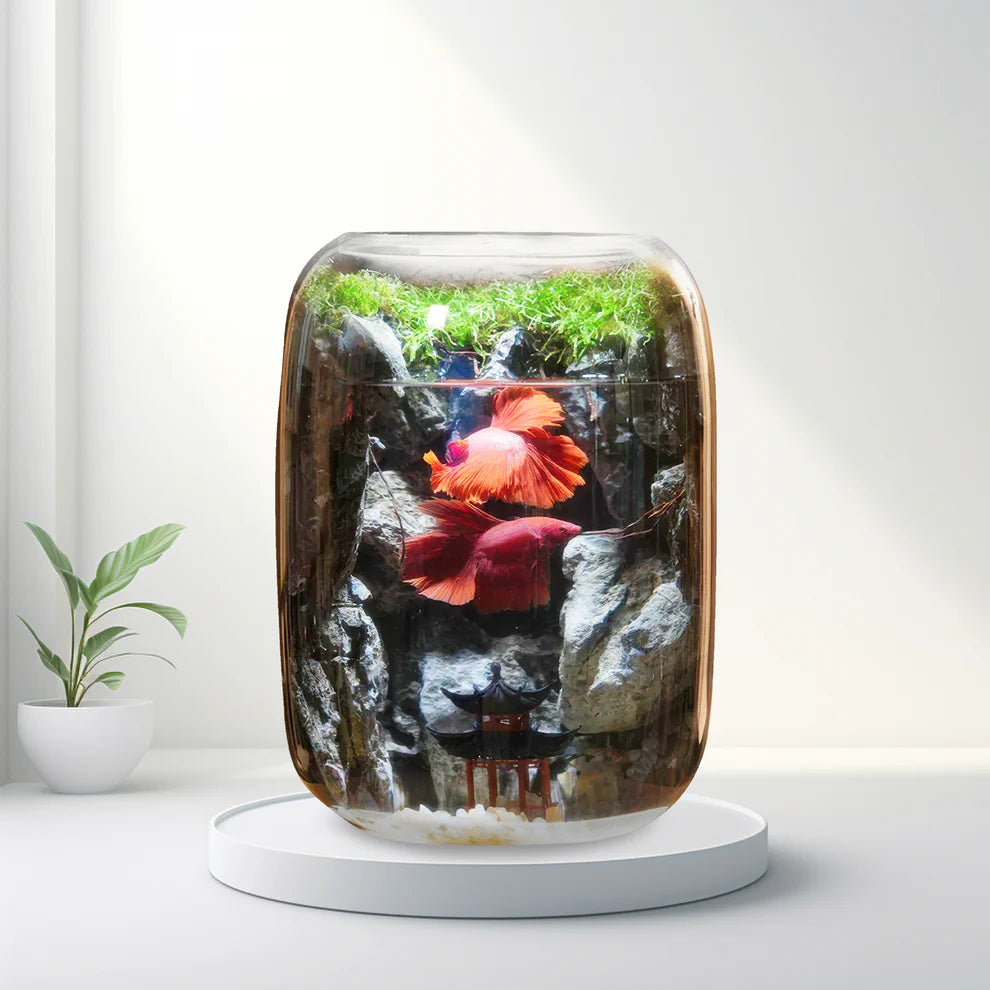 GreenZehn™ Hidden Valley