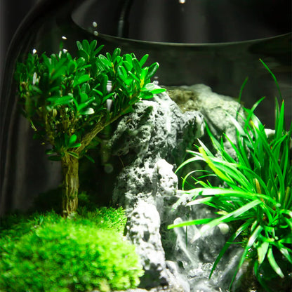 GreenZehn™ Inner Haven