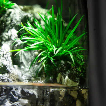 GreenZehn™ Inner Haven