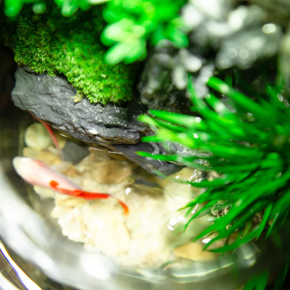 GreenZehn™ Inner Haven