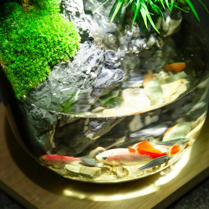 GreenZehn™ Inner Haven