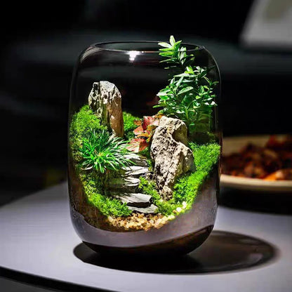 GreenZehn™ The First Step