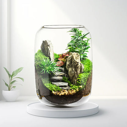 GreenZehn™ The First Step