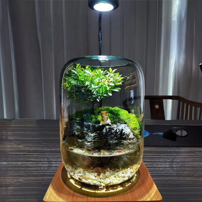 GreenZehn™ Under The Tree