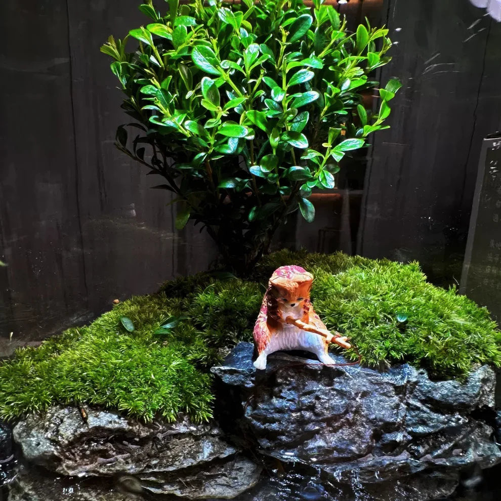 GreenZehn™ Under The Tree